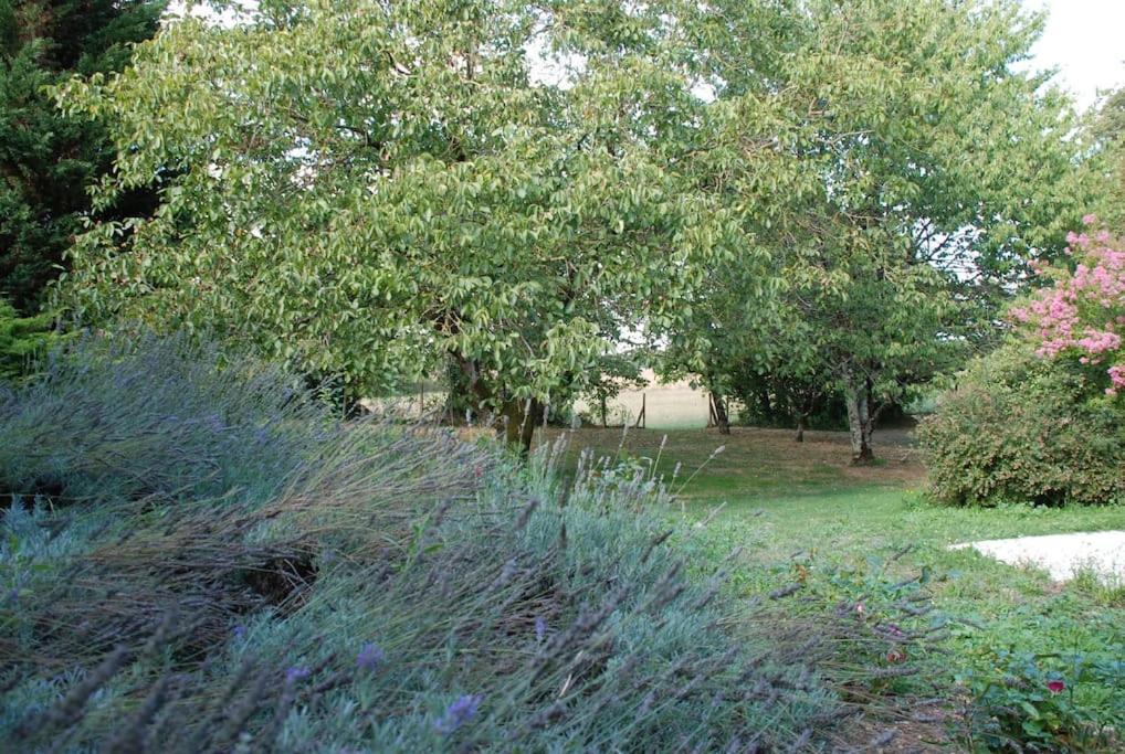 Uniquely Private Holiday Villa In The Charente Puyreaux Exterior photo